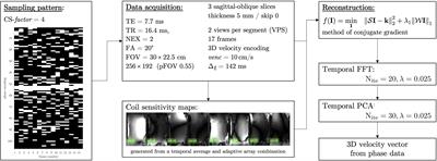 3D Muscle Deformation Mapping at Submaximal Isometric Contractions: Applications to Aging Muscle